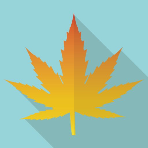 Juliane Houseの言語・文化間のコミュニケーションとしての翻訳に関する講演を視聴しました②